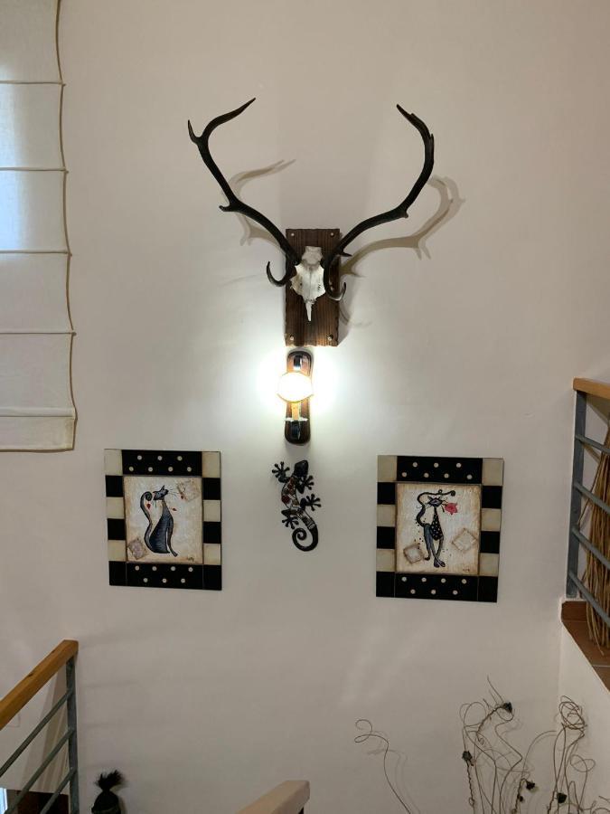 Apartamento Turistico El Esquilon Calzadilla Exteriör bild
